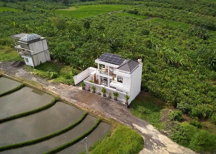 Villa Laid Back Canggu